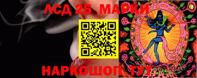 скорость Кингисепп