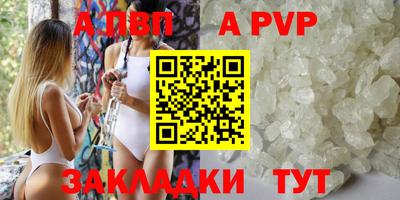 скорость Кингисепп