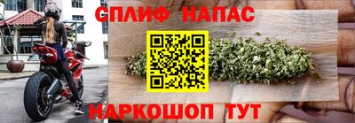 скорость Кингисепп