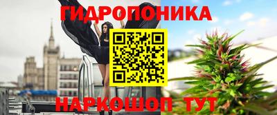 скорость Кингисепп